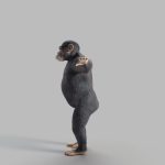 Chimp Rig - AnimProps
