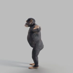 Chimp Rig - AnimProps