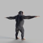 Chimp Rig - AnimProps