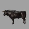 Galician bull Rig - AnimProps