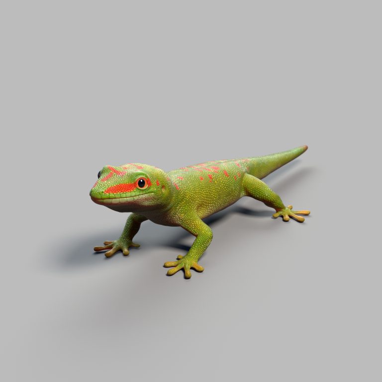 Gecko Rig - AnimProps