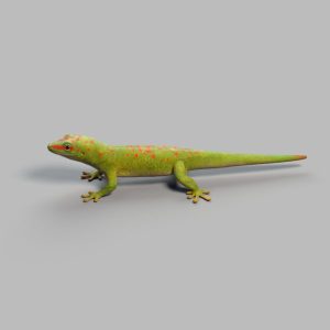 Gecko Rig - AnimProps