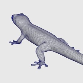 Gecko Rig - AnimProps