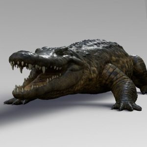 Nile crocodile Rig - AnimProps
