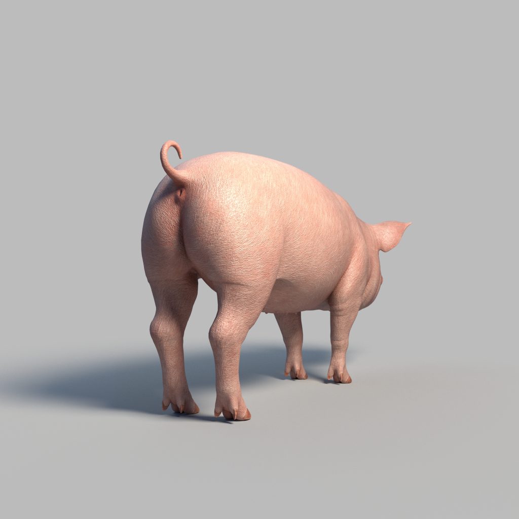 Pig Rig AnimProps