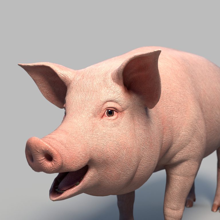 Pig Rig AnimProps