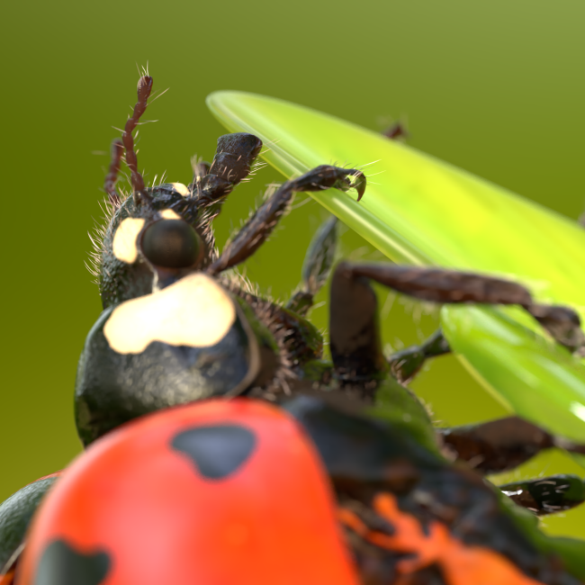 Ladybug Rig Hyperreal Ladybug rig Non commercial - AnimProps