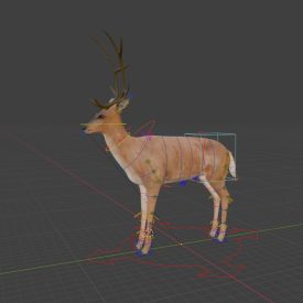 Deer rig (Blender)