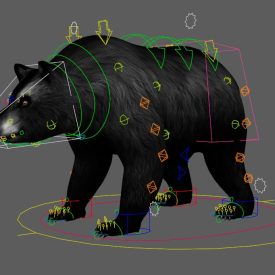 Bear rig