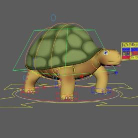 Tortoise rig