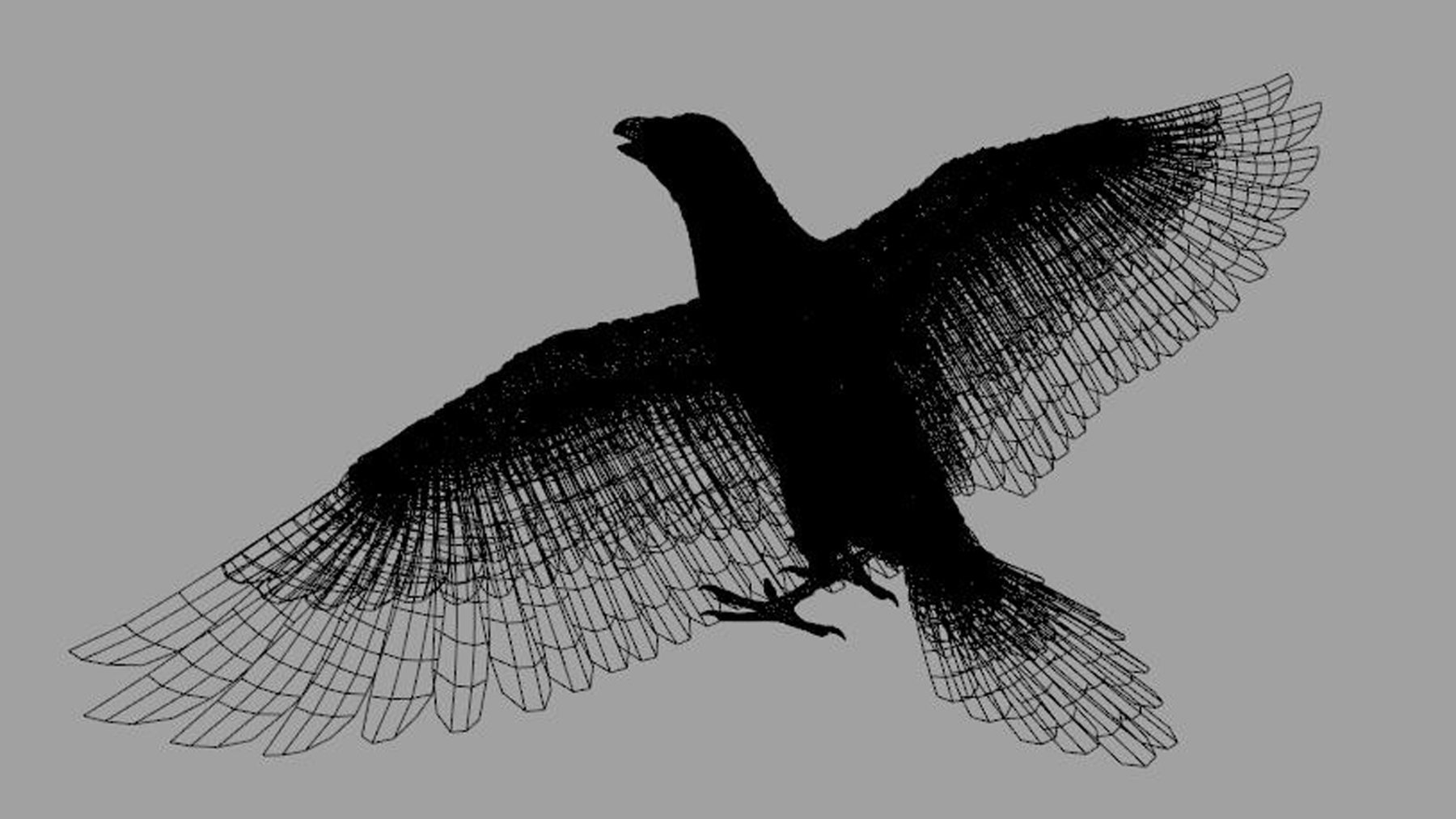 Crow Bird Dove - Image 3