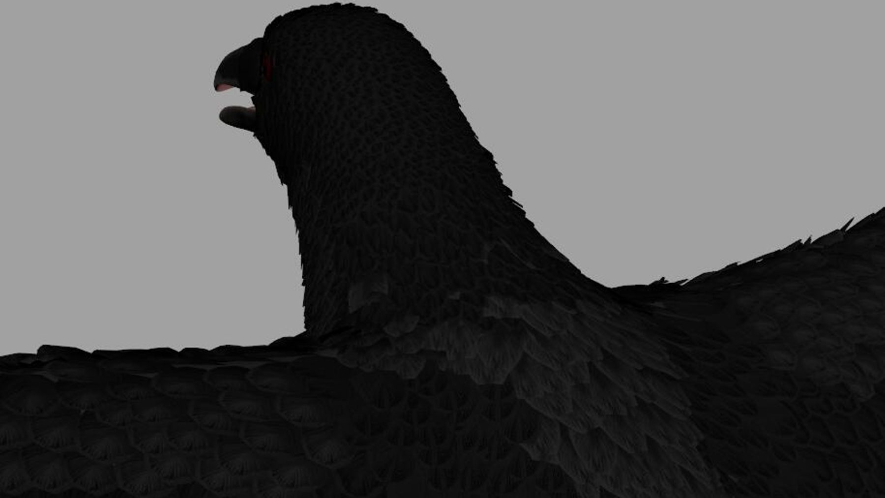 Crow Bird Dove - Image 13