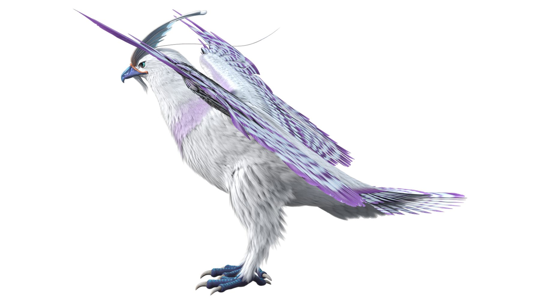 eagle bird - Image 3