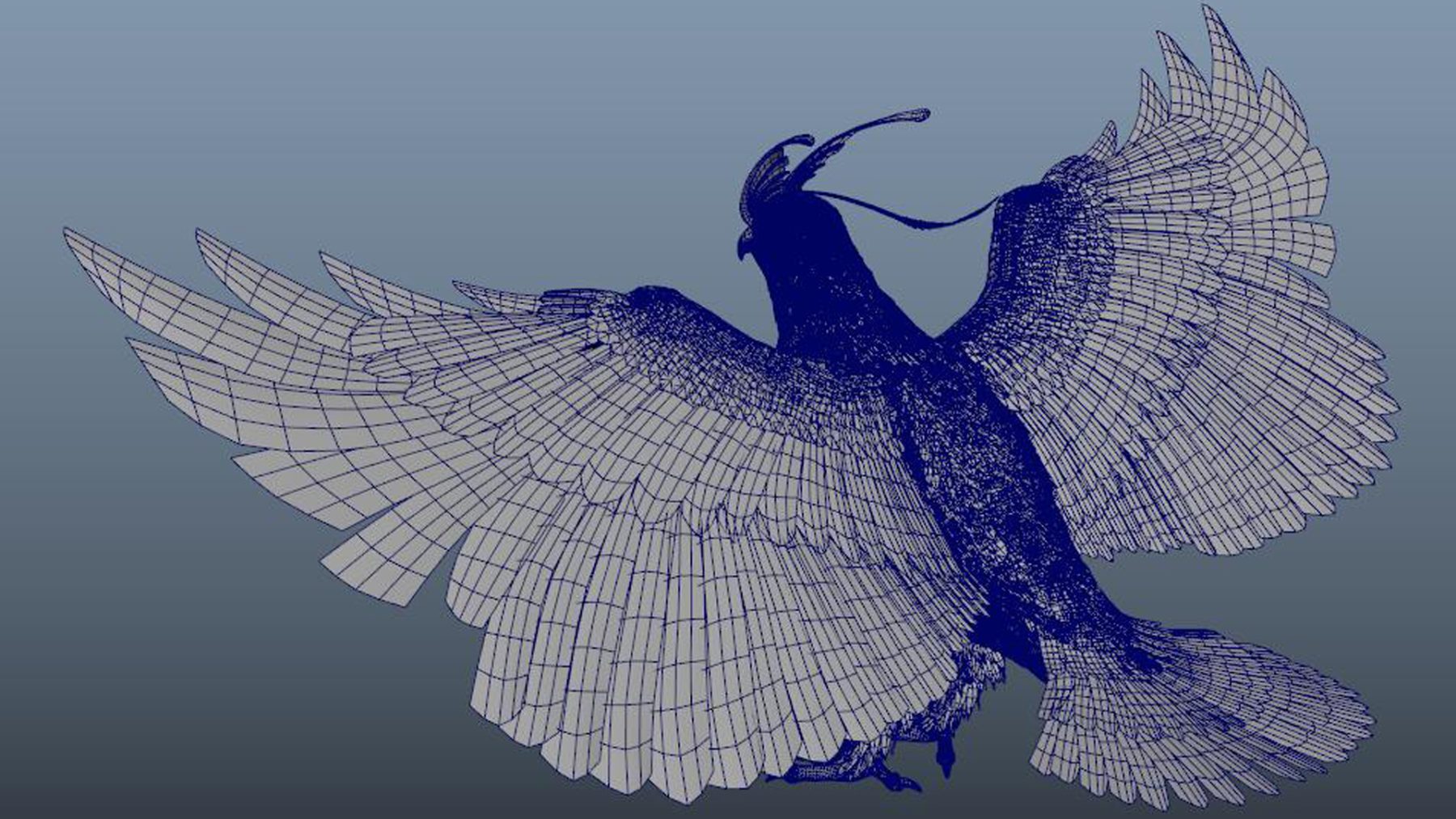 eagle bird - Image 11