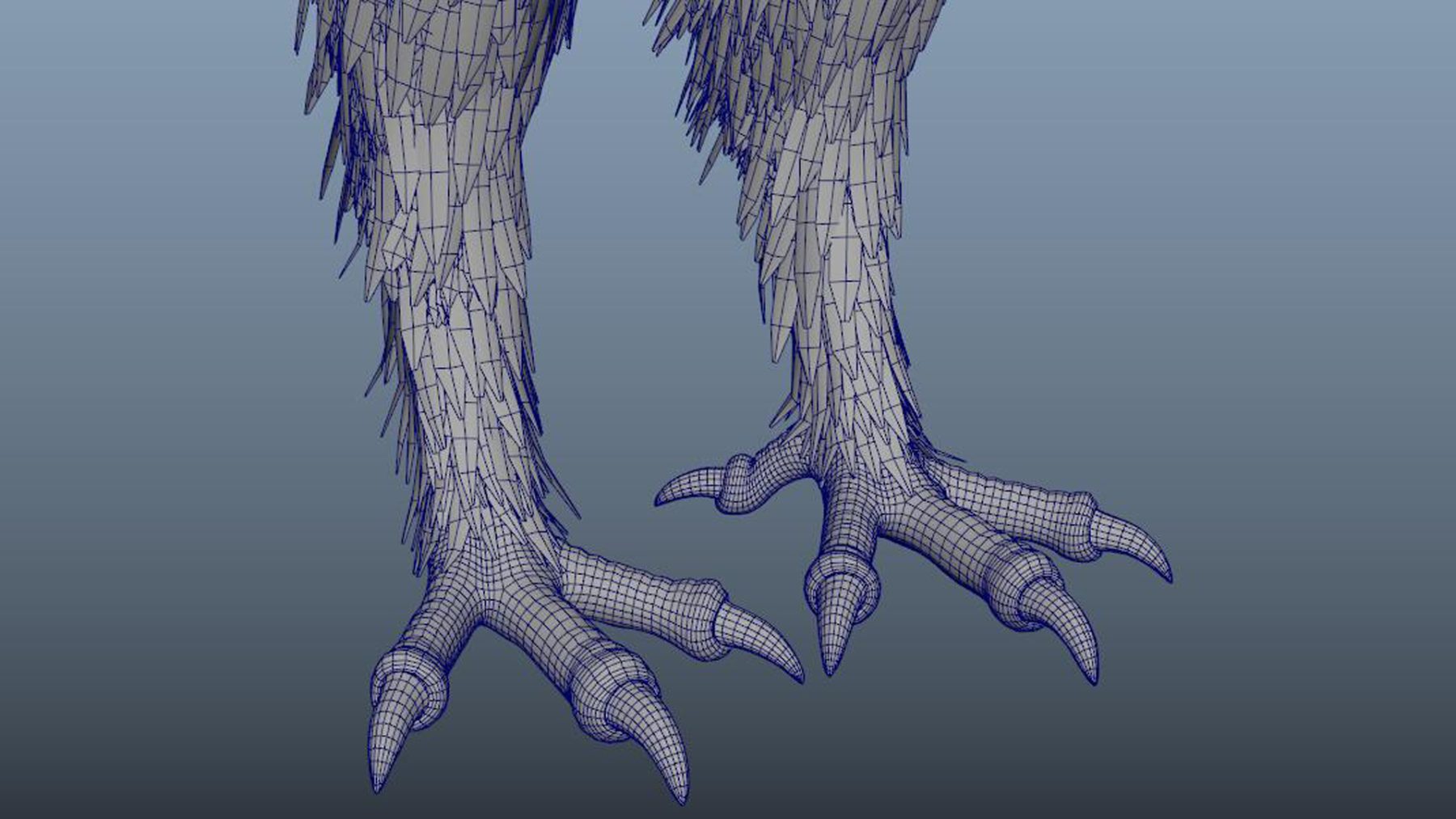 eagle bird - Image 13