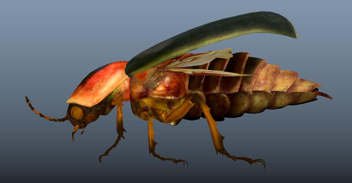beetle - Image 2