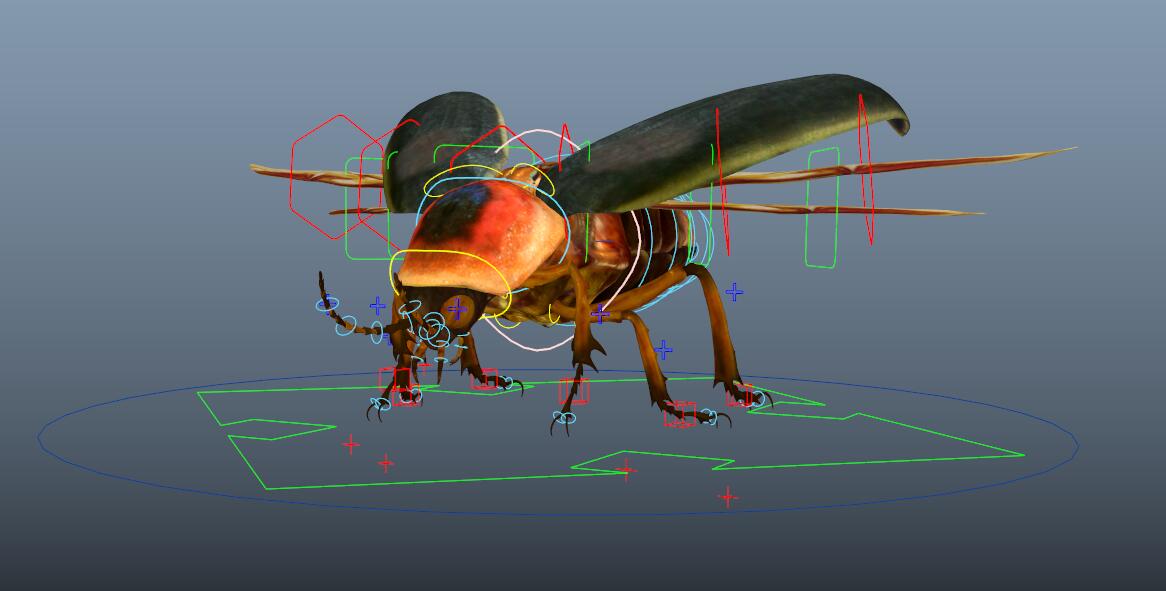 beetle - Image 5