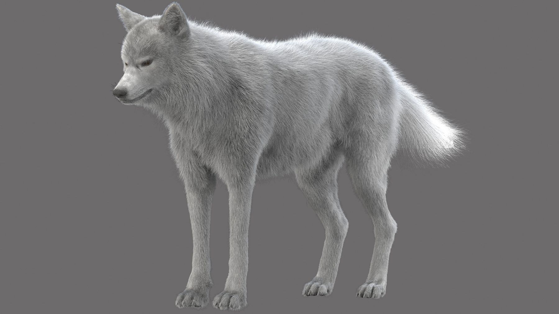 WhiteWolf