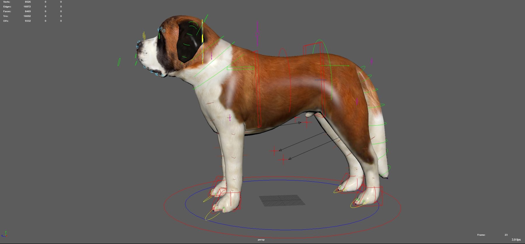 st. Bernard Dog Rig (Animated) - Image 2