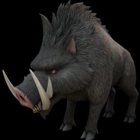 Wild_Boar