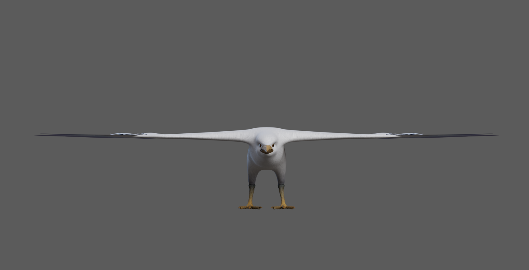 Seagull Bird - Image 2