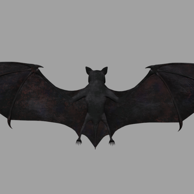 Bat-Rigged 3D model - AnimProps