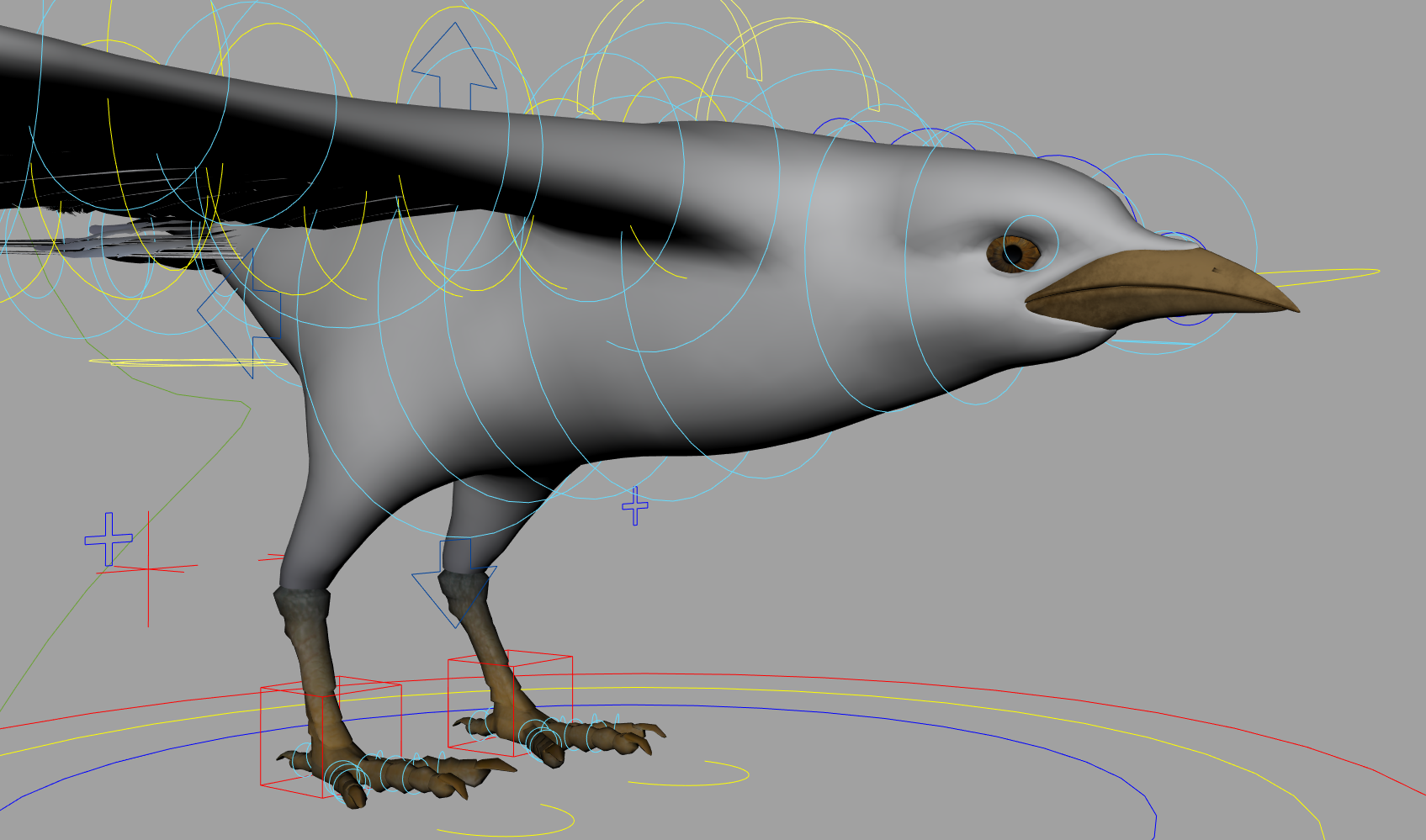 Seagull Bird - Image 7