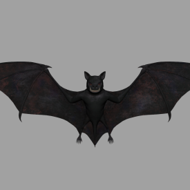 Bat-Rigged 3D model